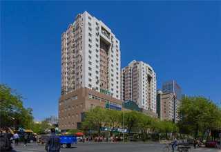 陕西仿生眼球萎缩义眼材料